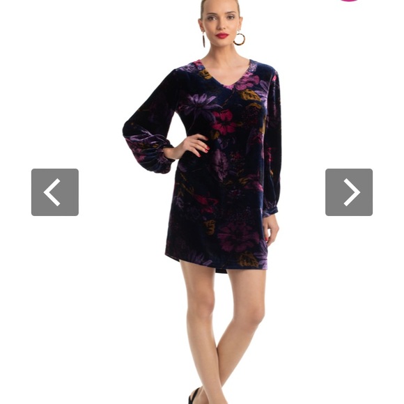 NWT TRINA TURK Eclair Floral Velvet Shift Dress Size Large - Picture 3 of 6